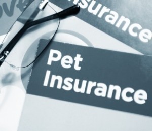 PetInsure