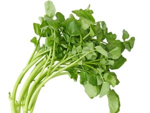 NH_Watercress